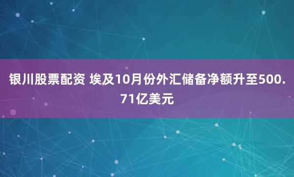 银川股票配资 埃及10月份外汇储备净额升至500.71亿美元